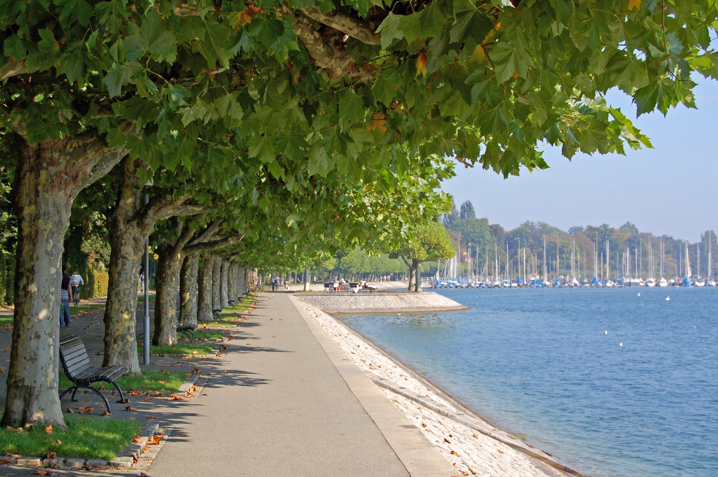 Konstanz - Promenade Seestraße (9507880761) -- By Gerhard Giebener (Konstanz - Promenade Seestraße) [CC BY 2.0 (http://creativecommons.org/licenses/by/2.0)], via Wikimedia Commons