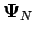 $ \boldsymbol{\Psi}_N$